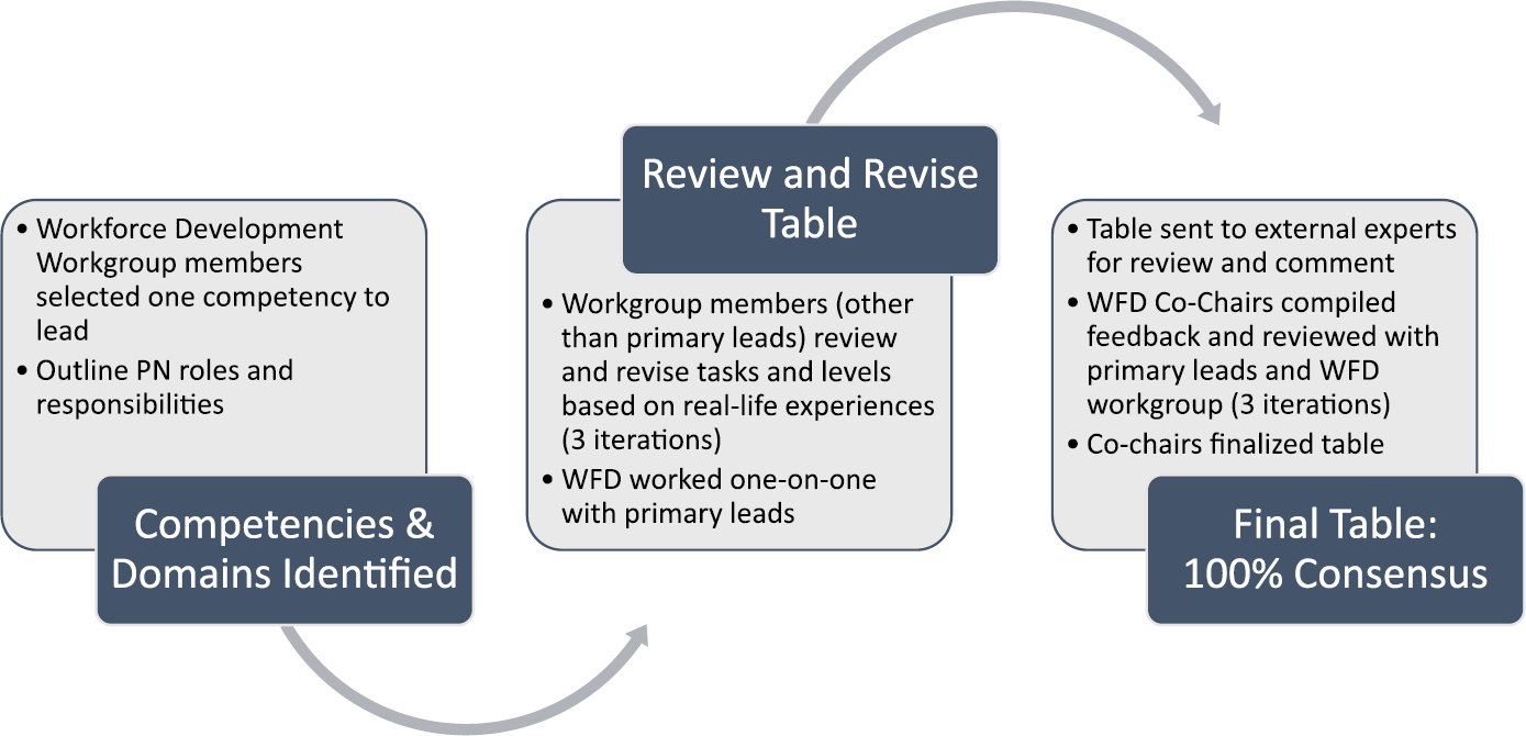 FIGURE 4 Iterative process to develop competency table.