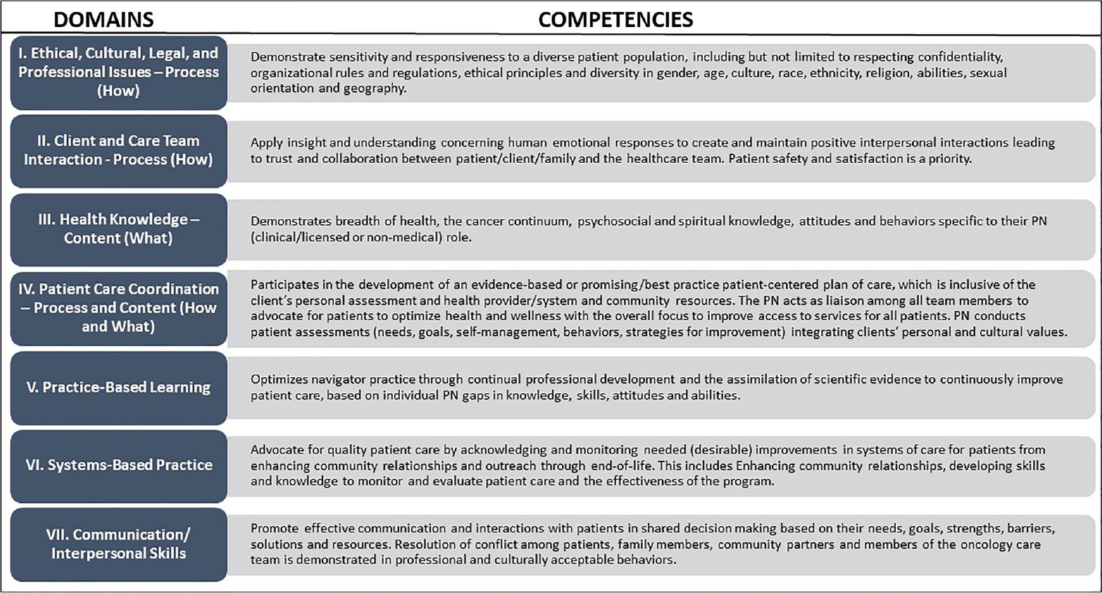 FIGURE 5 Domains and competencies based on Professional Oncology Navigation Task Force standards.