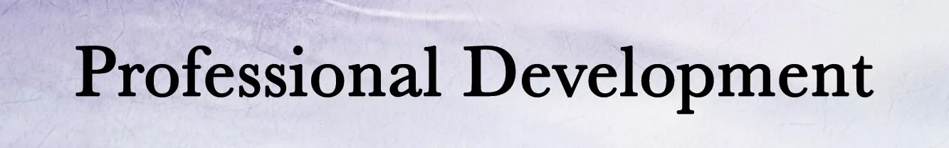 Professional Development